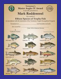 tennessee angler recognition program