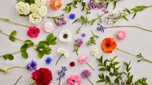 Flowers in season now uk. Flowers From The Farm Now In Stores Booths Supermarket