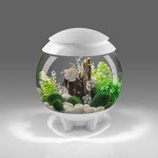 Rated 5 out of 5 stars. Biorb Halo White Aquarium 15 Liter Walmart Com Fish Tank Coffee Table Biorb Biorb Fish Tank