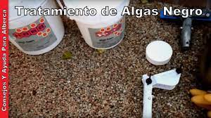 Este kit contiene lo necesario para eliminar hongos negros, comenzamos con el correcto de ph para bajar el ph del agua por debajo de 6 para que el producto mak killer. Tratamiento De Algas Negras Deshacerse De Las Algas Negras En Su Piscina Youtube