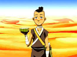 Last minute avatar poster for anime expo this year. 1 Never Drink Cactus Juice The Last Airbender Avatar Funny Avatar Airbender