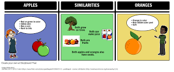 Compare And Contrast Example Storyboard By Natashalupiani