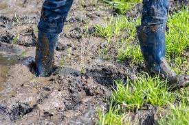 Nie Wieder Schlamm Entwasserung Im Gartenund Auf Dem Grundstuck