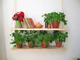 A hanging herb garden is a great way to store potted herbs in your kitchen because it saves space and keeps your counters and window ledges free. Hanging Shelf Kitchen Herb Gardenwindowsill Herb Garden Etsy