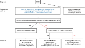 Call us today to discuss your options. The 2019 Ers Ests Eacts Estro Guidelines On The Management Of Patients With Malignant Pleural Mesothelioma Sciencedirect