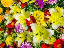 Giallo d'esordio con un tema di assoluta attualità. Fiori Gialli E Rosa Con Foglie Verdi Risolvi I Giochi Puzzle Gratis Presso Puzzle Factory