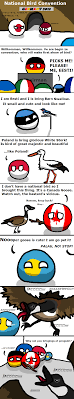 Countryballs countryball polandballart polandballfanart countryballsfanart poland nationstates countryballsart polandballs germany. Animals Polandball Wiki Fandom