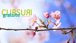 Macro training a organizat in luna iunie 2014 prima sesiune a cursului de expert accesare fonduri europene in brasov. Cursuri Gratuite Prin Proiecte Europene Home Facebook