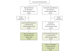Rct Flow Chart Bl Base Line Eot End Of Treatment