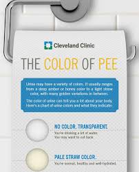 What The Color Of Your Urine Says About Your Health Wise