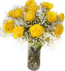 Try dragging an image to the search box. Yellow Roses And Baby S Breath Flowerandballooncompany Com