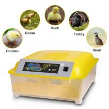 Top 10 Best Chicken Incubator In 2019 Egg Incubator Chicken Incubator Egg Incubators Egg Incubator