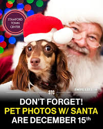 Pet Photos with Santa are December 15th! 8-11 am presented by  @roomforpawspetresort 🐶🐱🎅 Click the link in our bio to reserve your  time! • • Follow @stamfordtowncenter for more updates!