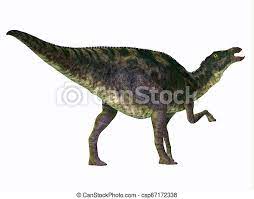 This prosauropod was recently discovered in south africa. Maiasaurus Dinosaur Tail Maiasaurus Was A Large Herbivorous Dinosaur That Lived In Montana During The Cretaceous Period Canstock