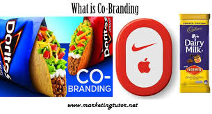 Innovative loyalty business with valuable. What Is Co Branding Definition Types Examples Advantages Disadvatnages