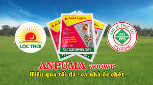 Anpuma 700WP