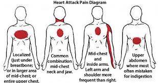 Pin On Health