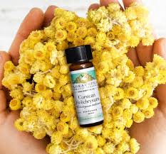 Image result for Helichrysum membranaceum