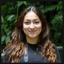 About The Price of Paradise