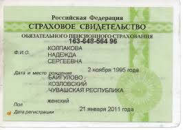 Uznat Snils Po Pasportu Onlajn