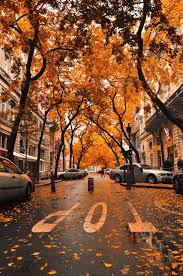 We did not find results for: Fall Tumblr Wallpapers Top Free Fall Tumblr Backgrounds Wallpaperaccess