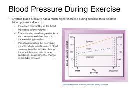 Pin By Zimrhod On Exercise And Blood Pressure Exercise