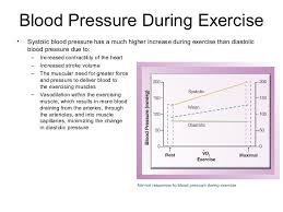 pin by zimrhod on exercise and blood pressure force