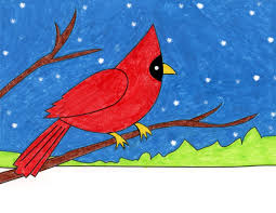 George denis patrick carlin was born and raised in manhattan, new york city, to mary (bearey), a secretary, and patrick john carlin, an advertising manager for the sun; How To Draw A Cardinal Art Projects For Kids