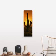 Download and use 2,000+ cactus stock photos for free. Shop For Saguaro Cactus Carnegiea Gigantea In A Desert At Sunrise Arizona Canvas Wall Art Get Free Delivery On Everything At Overstock Your Online Art Gallery Store Get 5 In Rewards With Club O 16896201