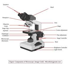 Parts Of Microscope With Their Functions And Working Principle Microscopic Electron Microscope Technology Life