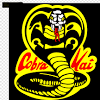 All 3 seasons of #cobrakai are now streaming on netflix. Https Encrypted Tbn0 Gstatic Com Images Q Tbn And9gcqdjxw019mqul5ew4tlojh Dsqpaeertsriiu0m0xy5eetc6yn6 Usqp Cau