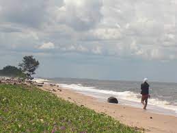 Pantai ujung pandaran merupakan salah satu pantai yang terkenal di sampit, kalimantan tengah. Pantai Ujung Pandaran Sampit Kalteng Kompasiana Com
