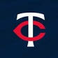 Tampa Bay Rays at Minnesota Twins event image