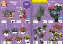 18015 via aurelia, 28 riva ligure, it. Lidl Balerna Offerte E Sconti Centro Breggia