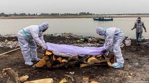 Just watched man's last text: India Bodies Of Suspected Covid 19 Victims Wash Up On Ganges Riverbanks News Dw 11 05 2021