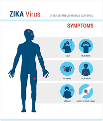 Outbreaks of zika virus disease have been recorded in africa, the americas, asia and the pacific. Zika Virus Symptoms