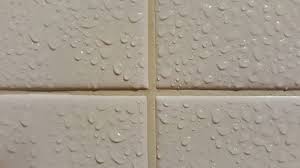 16 Home Remedies To Get Rid Of Mold Mould And Mildew Bathroom Tile Diy Tile Bathroom Clean Shower Tile Grout