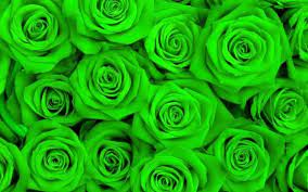 Las Rosas Verdes. — SteemKR