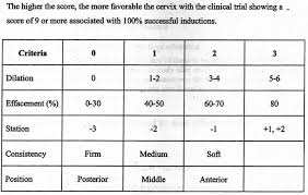 Learn what it is and how it works. Public Service Post The Bishop Score Human With Uterus