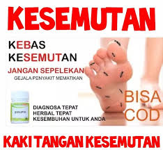 We did not find results for: Obat Kesemutan Tangan Kaki Kebas Pegal Pegal Obat Herbal Kolestrol Naturindo Lazada Indonesia