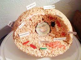 Maybe you would like to learn more about one of these? Animal Cell Model Ideas For Your Science Project Easy And Creative Animal Cell Animal Cells Model Edible Cell Project