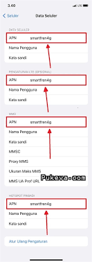 Cara Setting APN Personal Hotspot Smartfren Di IPhone Dan IPad