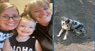 Pacific Northwest Silver Alert