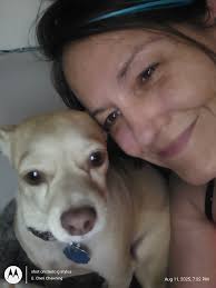 Chiweenie brings joy to family