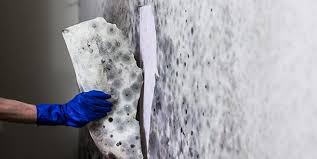 Diye soruyorsanız bu yazımız tam size göre. Kuf Lekesi Nasil Cikar Iste Birkac Pratik Yontem Olay Gazetesi Bursa