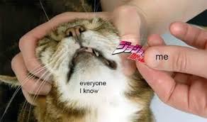 Jolyene Jojo S Bizarre Adventure Monster Hunter Memes Monster Hunter Monster Hunter Cat