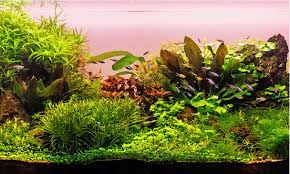 Some leds can grow plants, but many of them cannot. Light