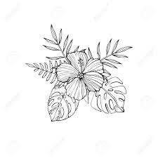 Realistic Hibiscus Flower Sketch Best Flower Wallpaper Add more and add some grass around the flowers. best flower wallpaper