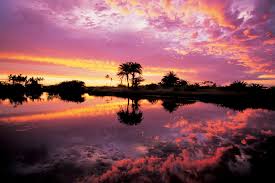 Image result for fiji islands