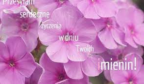 Celebrate the name day of your friends or loved ones by selecting one of our wonderful name day cards. Imieniny Anny Zyczenia W Formie Sms Smieszne Rymowane Itp Dla Anny Anki Ani Zobacz Czego Im Zyczyc 26 Lipca Polska Times